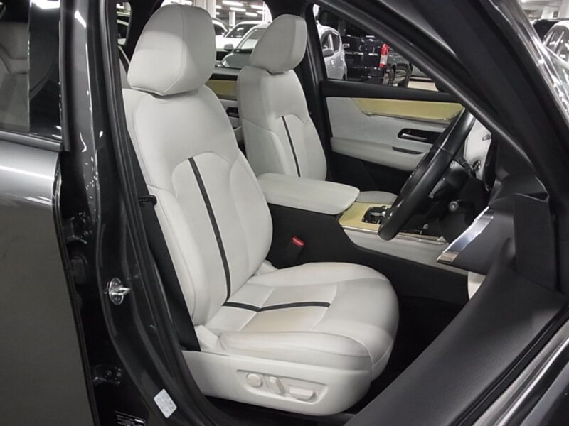 2022 Mazda CX-60 3.3 XD-Hybrid Premium Modern
