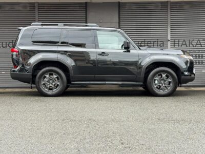 2025 LEXUS GX550 - VJA252W