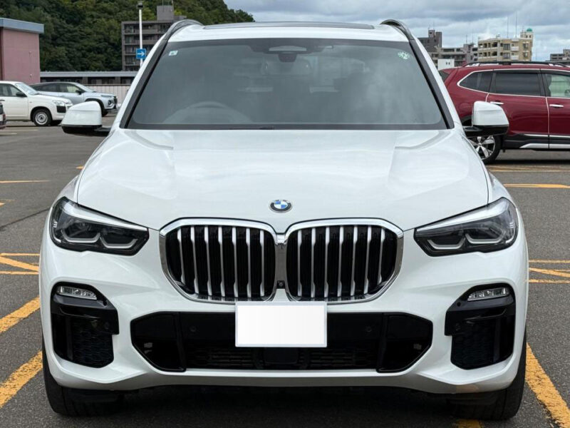 2019 BMW X5 xDrive 35d M Sport