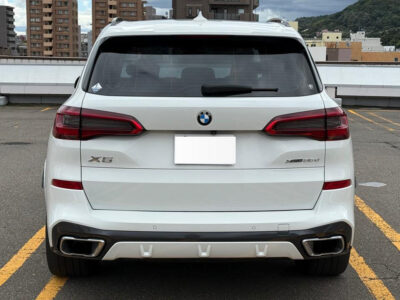 2019 BMW X5 xDrive 35d M Sport