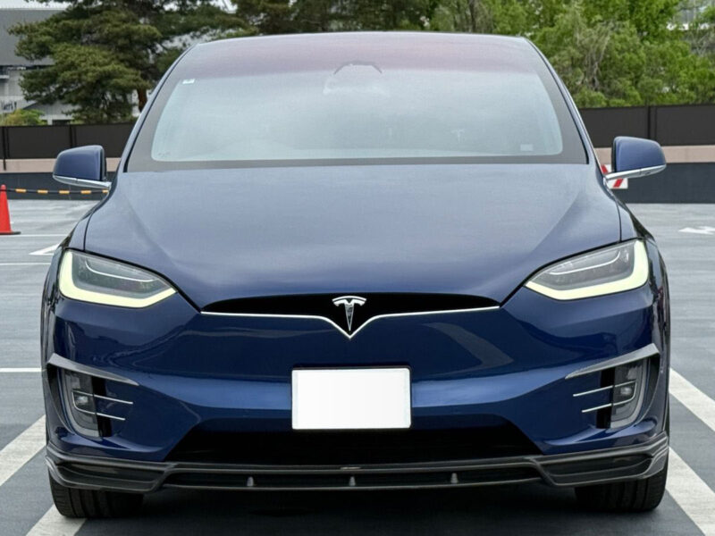 2020 Tesla Model X Long Range