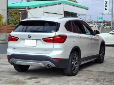 2019 BMW X1 xDrive 20i X-Line