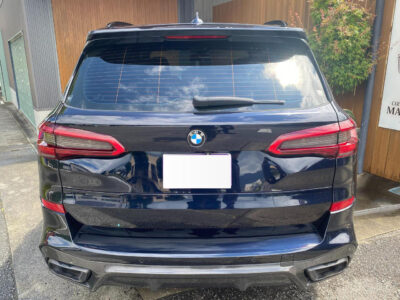 2019 BMW X5 xDrive 35d M Sport (3DA-CV30A)