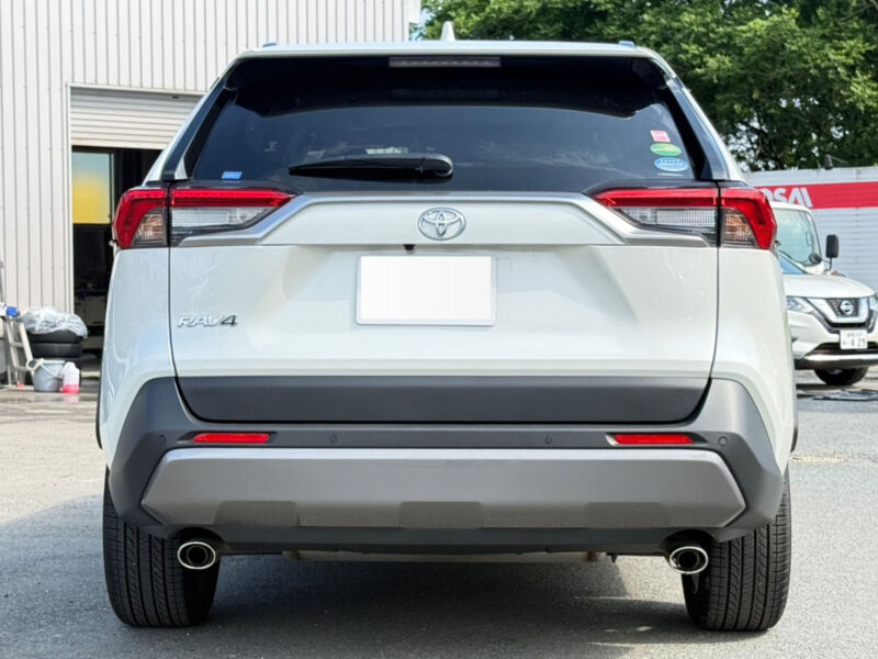 2019 Toyota Rav4 G Z Package (6BA-MXAA54)
