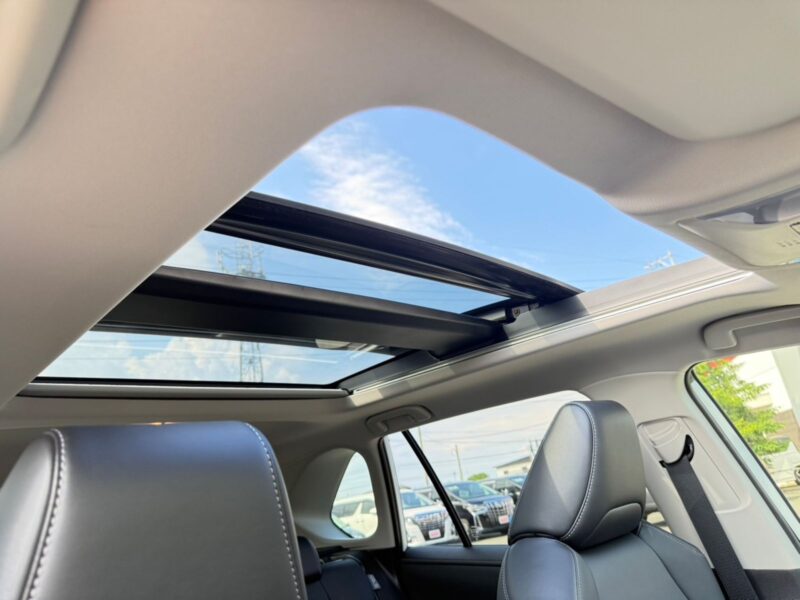 2019 Toyota Rav4 G Z Package (6BA-MXAA54)