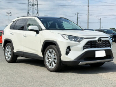 2019 Toyota Rav4 G Z Package (6BA-MXAA54)