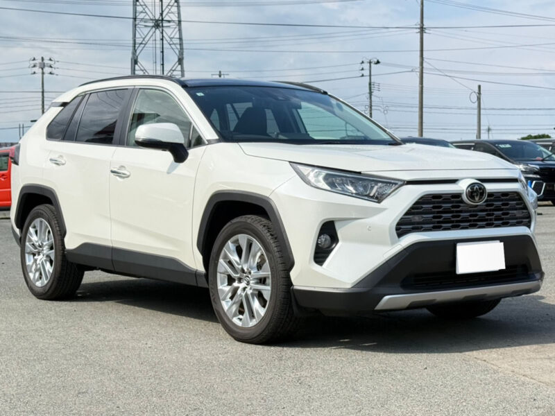 2019 Toyota Rav4 G Z Package (6BA-MXAA54)
