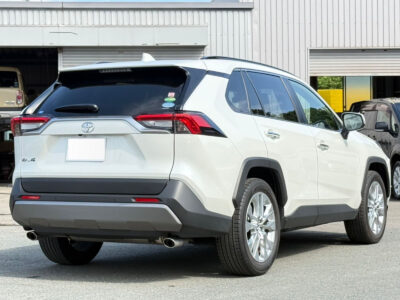 2019 Toyota Rav4 G Z Package (6BA-MXAA54)