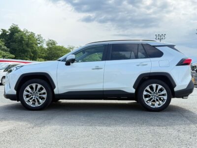 2019 Toyota Rav4 G Z Package (6BA-MXAA54)