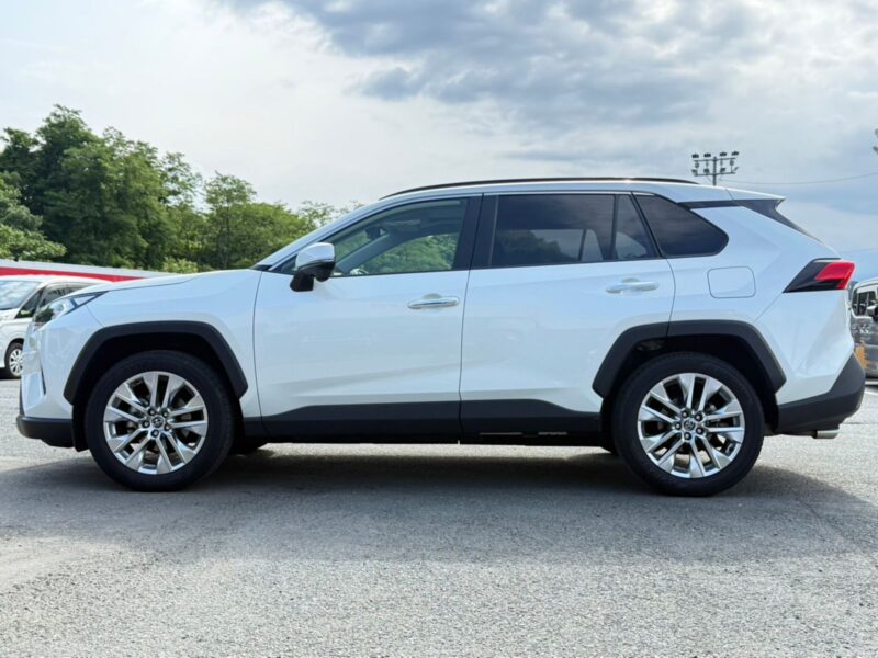 2019 Toyota Rav4 G Z Package (6BA-MXAA54)