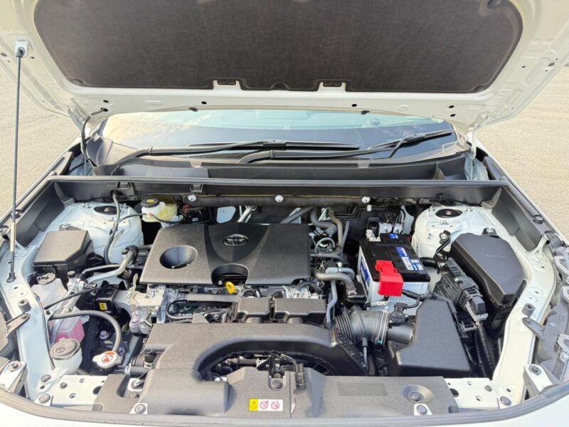 2019 Toyota Rav4 G Z Package (6BA-MXAA54)