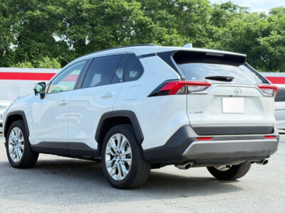 2019 Toyota Rav4 G Z Package (6BA-MXAA54)