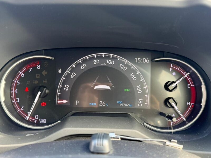 2019 Toyota Rav4 G Z Package (6BA-MXAA54)