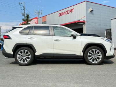 2019 Toyota Rav4 G Z Package (6BA-MXAA54)