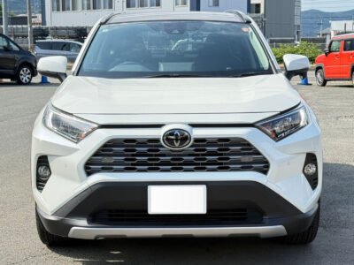 2019 Toyota Rav4 G Z Package (6BA-MXAA54)