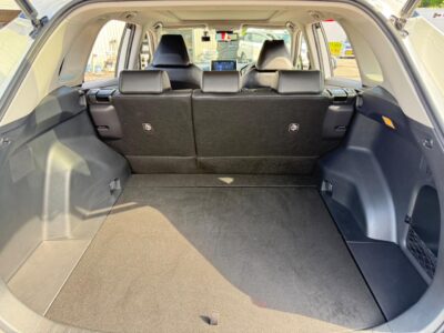 2019 Toyota Rav4 G Z Package (6BA-MXAA54)