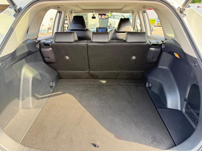 2019 Toyota Rav4 G Z Package (6BA-MXAA54)