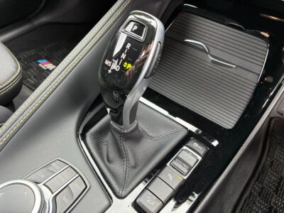 2021 BMW X2 xDrive 20i M Sport X (3BA-YH20)