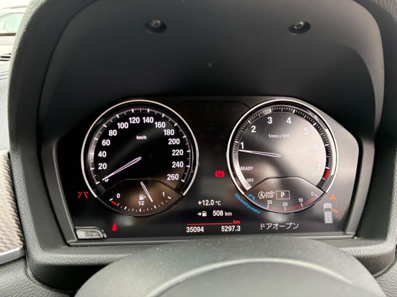 2021 BMW X2 xDrive 20i M Sport X (3BA-YH20)