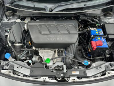 2019 Suzuki Swift Sport (ZC33S)