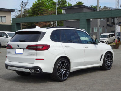 2019 BMW X5 xDrive 35d M Sport (3DA-CV30A)