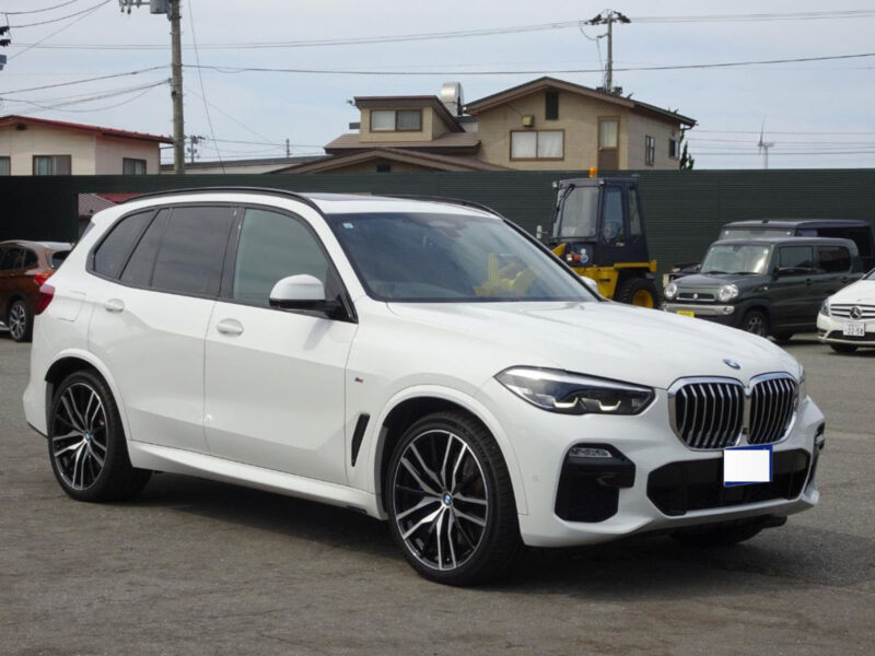 2019 BMW X5 xDrive 35d M Sport (3DA-CV30A)