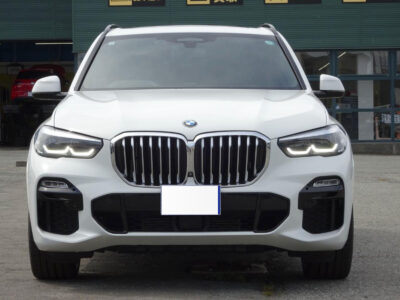 2019 BMW X5 xDrive 35d M Sport (3DA-CV30A)