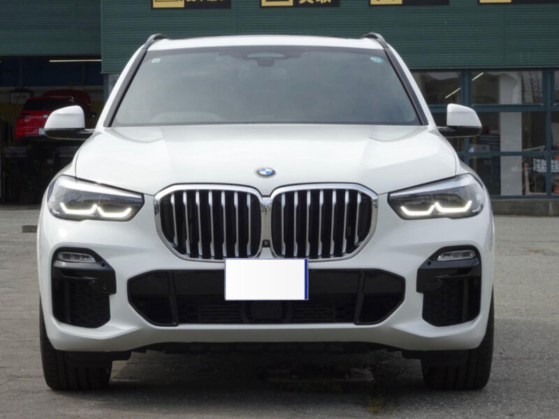 2019 BMW X5 xDrive 35d M Sport (3DA-CV30A)