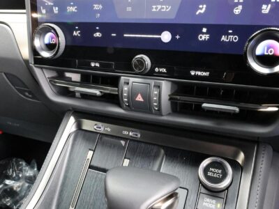 2025 LEXUS GX550 OVERTRAIL+ (3BA-VJA252W)