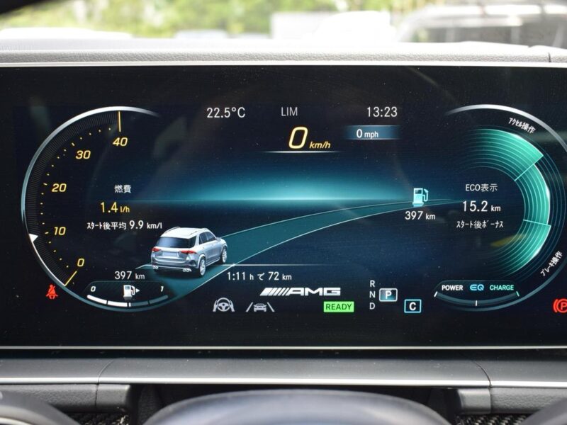 2020 Mercedes AMG GLE53 4Matic+ (4AA-167161)