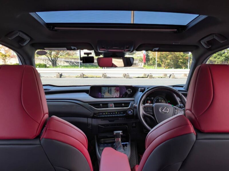 2020 LEXUS UX250h F Sport (MZAH10)