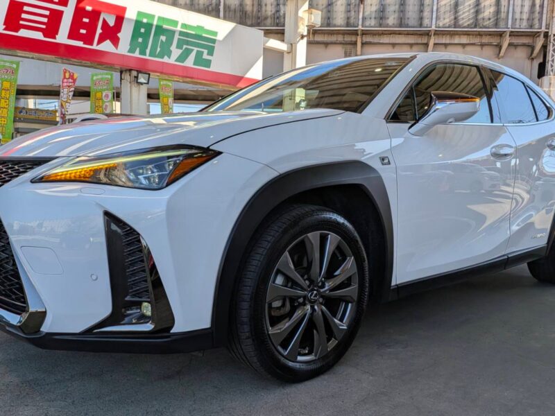 2020 LEXUS UX250h F Sport (MZAH10)