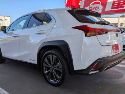 2020 LEXUS UX250h F Sport (MZAH10)