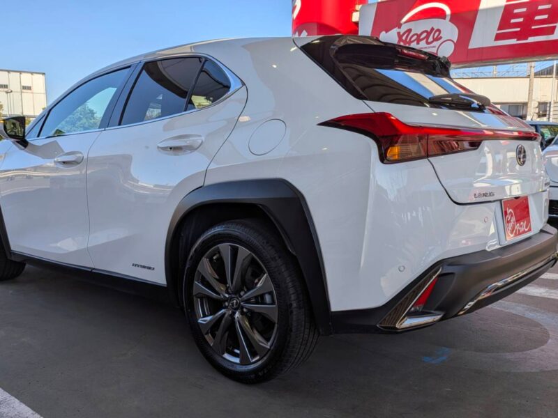 2020 LEXUS UX250h F Sport (MZAH10)