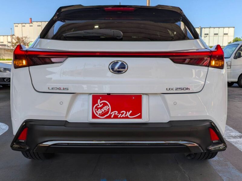 2020 LEXUS UX250h F Sport (MZAH10)