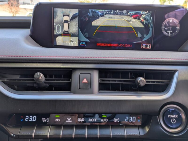 2020 LEXUS UX250h F Sport (MZAH10)