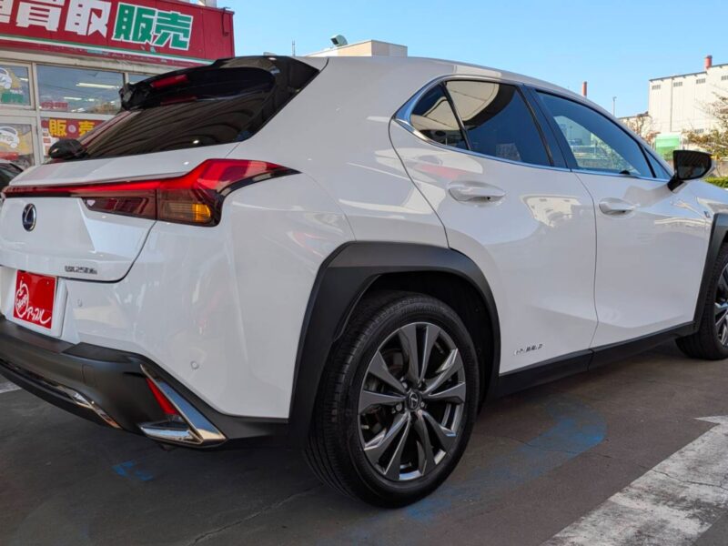 2020 LEXUS UX250h F Sport (MZAH10)